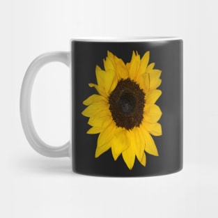 Single sunflowers close up - summertime Mug